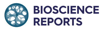 BioScience Reports